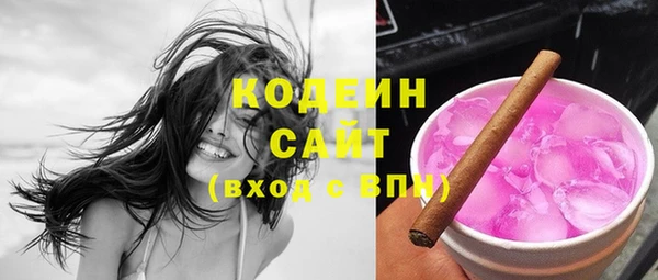 шишки Лагань