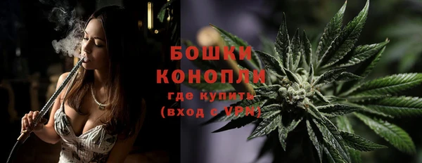 шишки Лагань