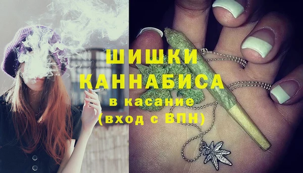 шишки Лагань