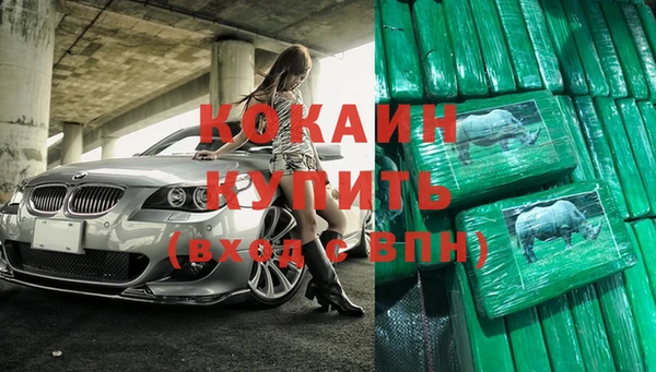 шишки Лагань